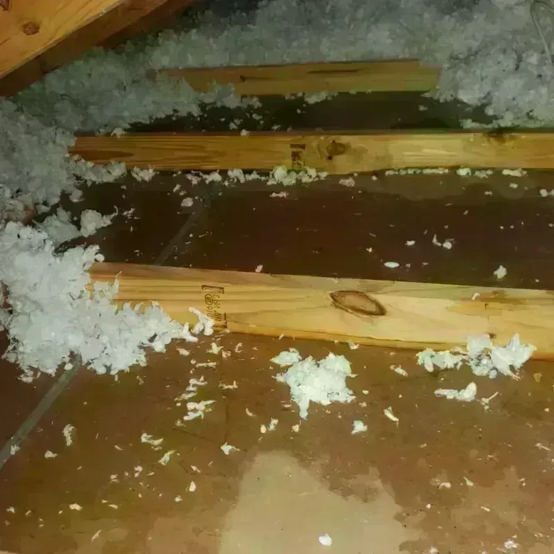 Attic Water Damage in Hemby Bridge, NC